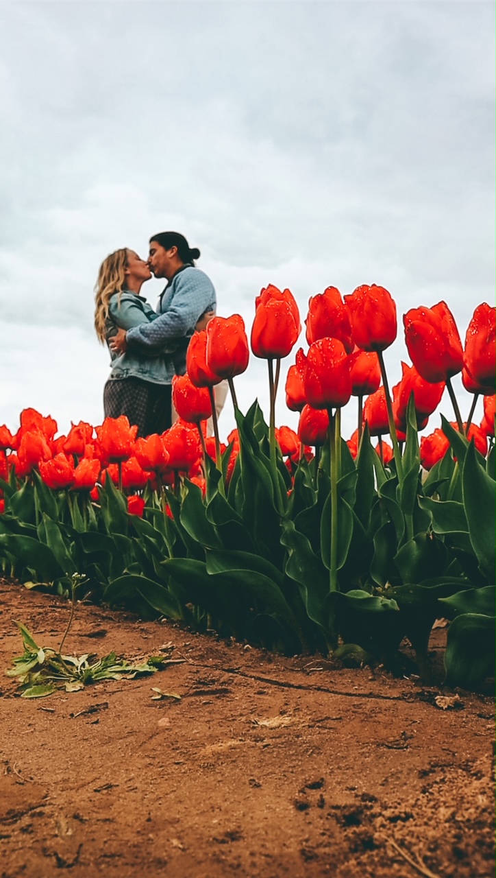 couple embrace in tulip field